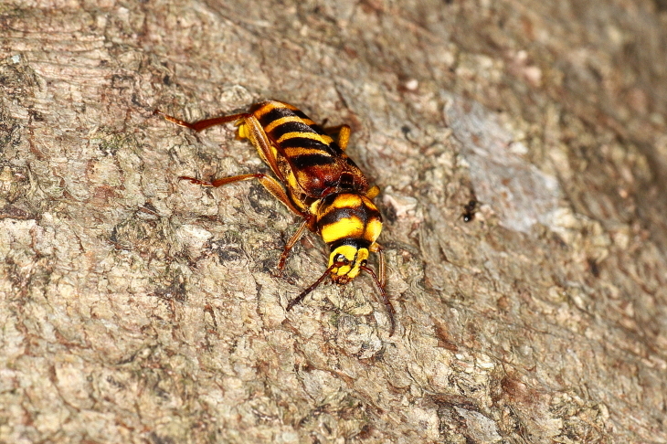 e0337826_21503439.jpg