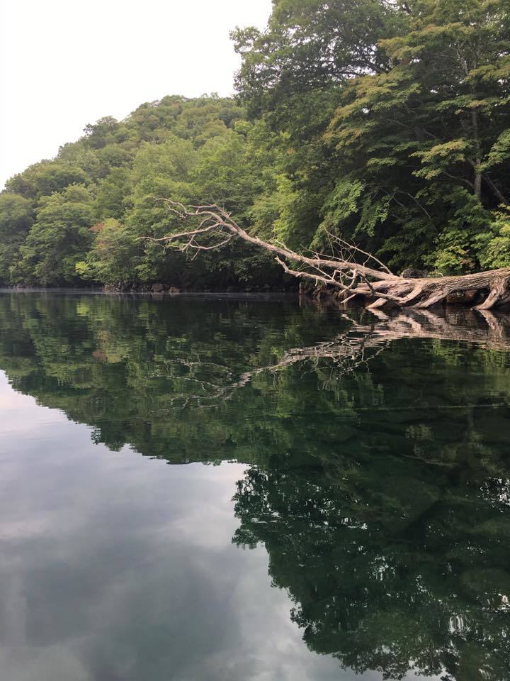 From北海道~未来の片鱗~_c0102228_16534745.jpg