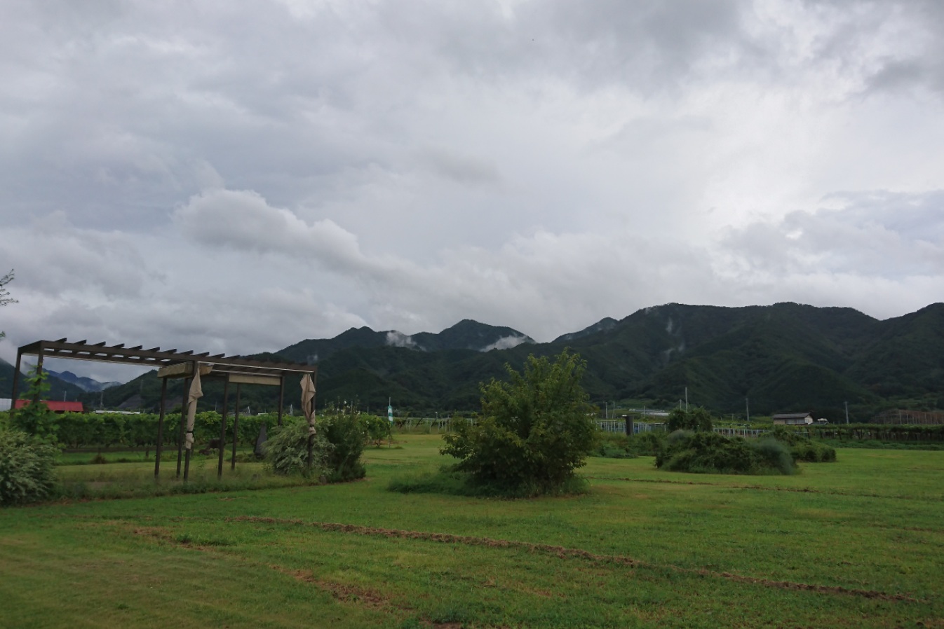 d0372528_09275508.jpg