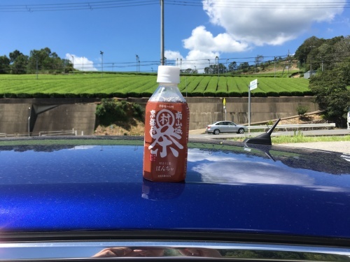 b0004229_17102683.jpeg