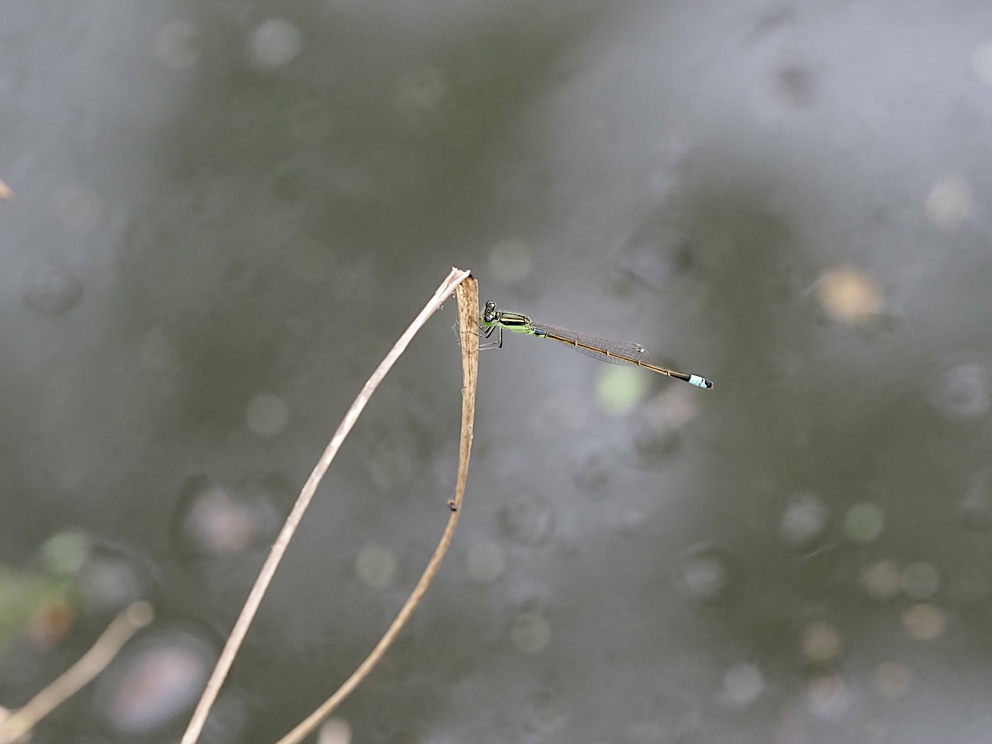 d0303129_395971.jpg