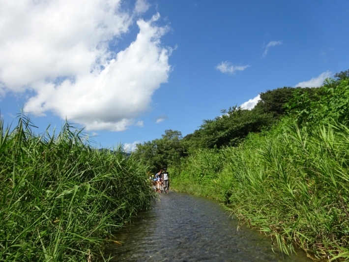 d0378837_08182322.jpg