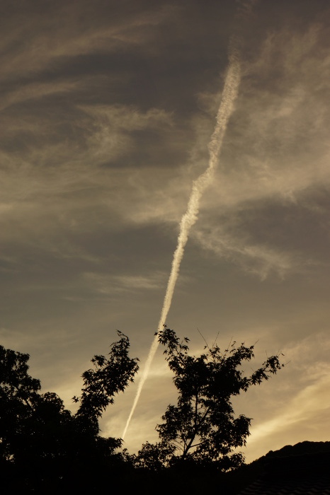 c0243343_19341300.jpg