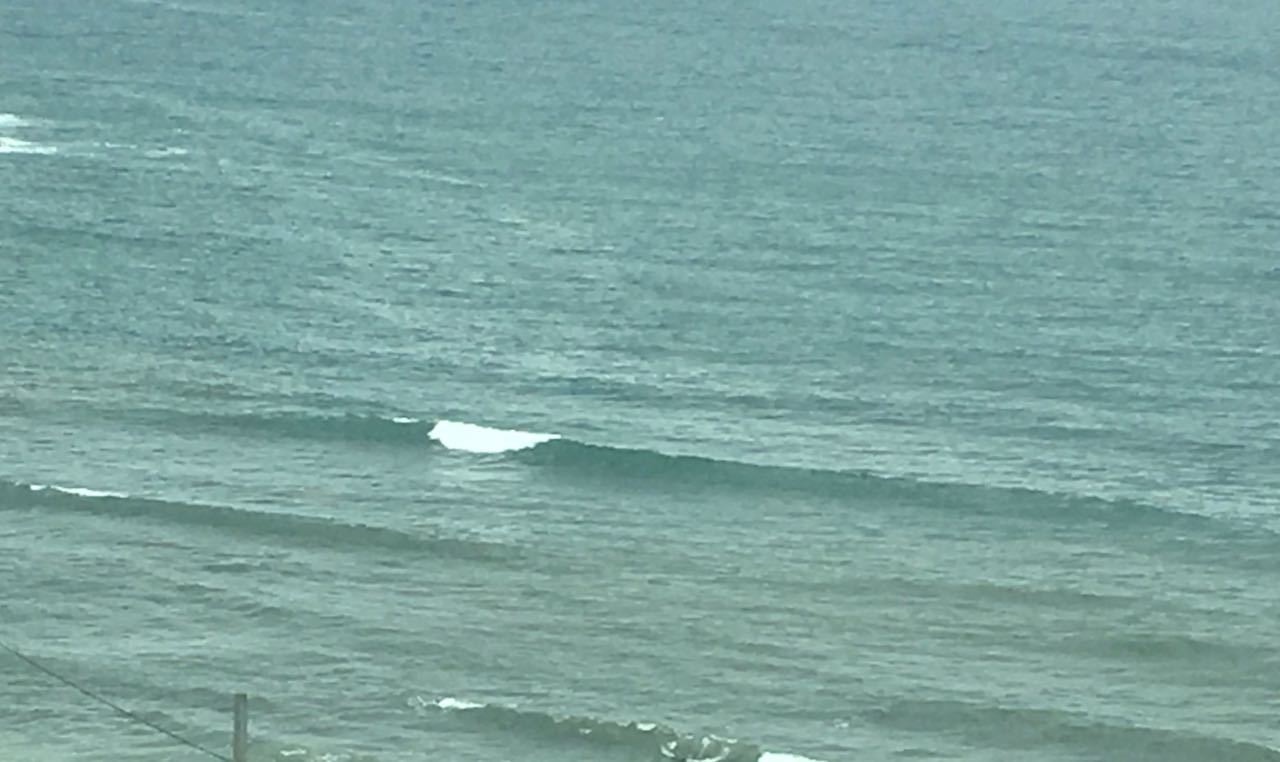 c0254151_15101686.jpg