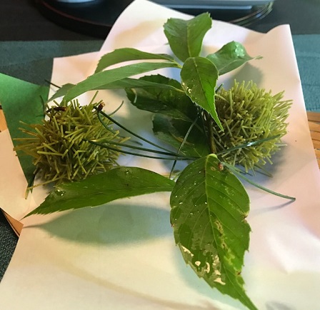 夏の着物で、お客様と普茶料理の閑臥庵 (かんがあん)へ_f0181251_143364.jpg