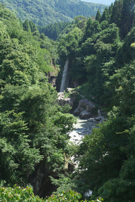 d0342652_1716468.jpg