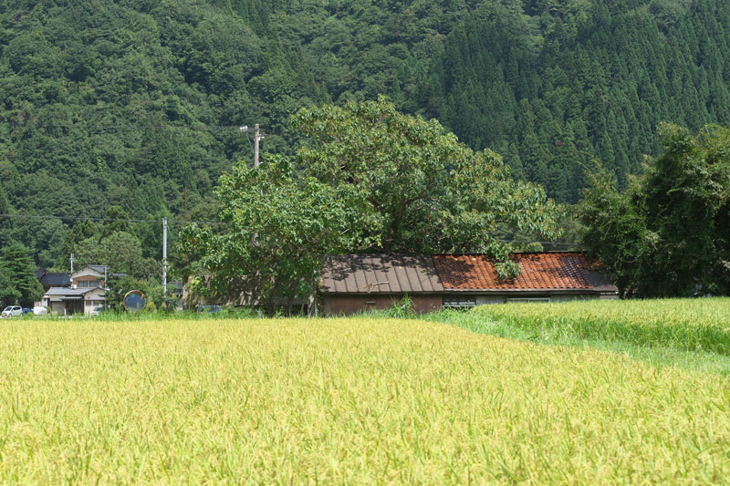 d0342652_17341145.jpg