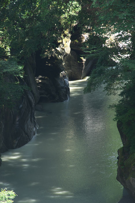 d0342652_1784849.jpg