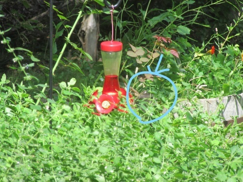 b0247153_09153258.jpg