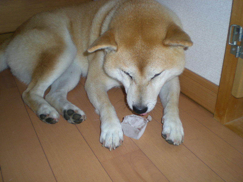’18,8,26(日)暑い日にはスパイシーフライドチキン!_f0060461_08533776.jpg