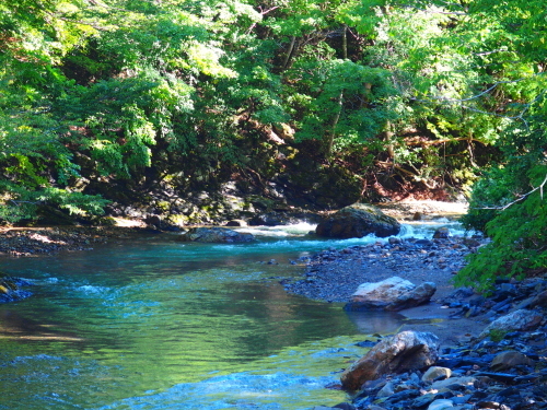 f0327061_20262197.jpg