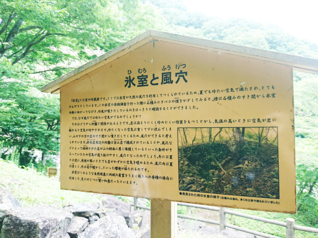 d0364962_13145140.jpg