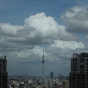 今日の空 (8月X日)_b0112263_16180900.jpg