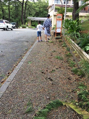 まさに台風一過　（7月29日）_b0145863_12582703.jpg