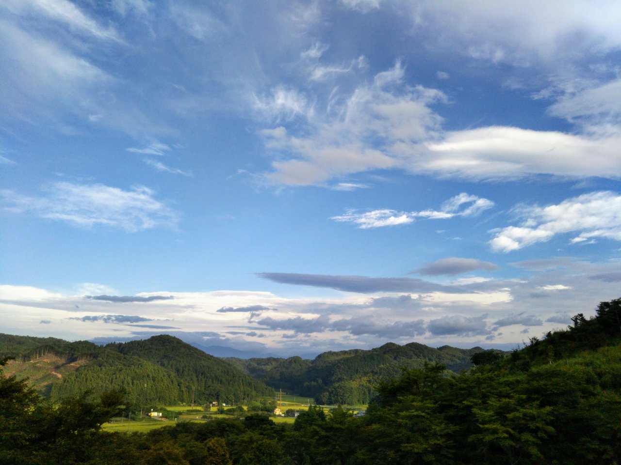 f0208665_12413536.jpg