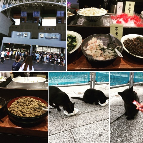 8月26日東京に9月3日まで滞在します。_c0134071_06574053.jpeg