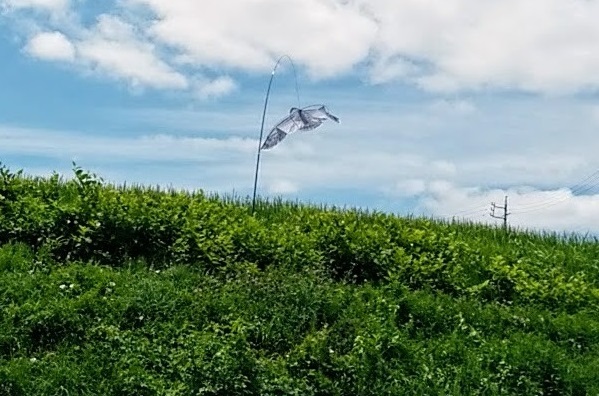 f0026274_11041933.jpg