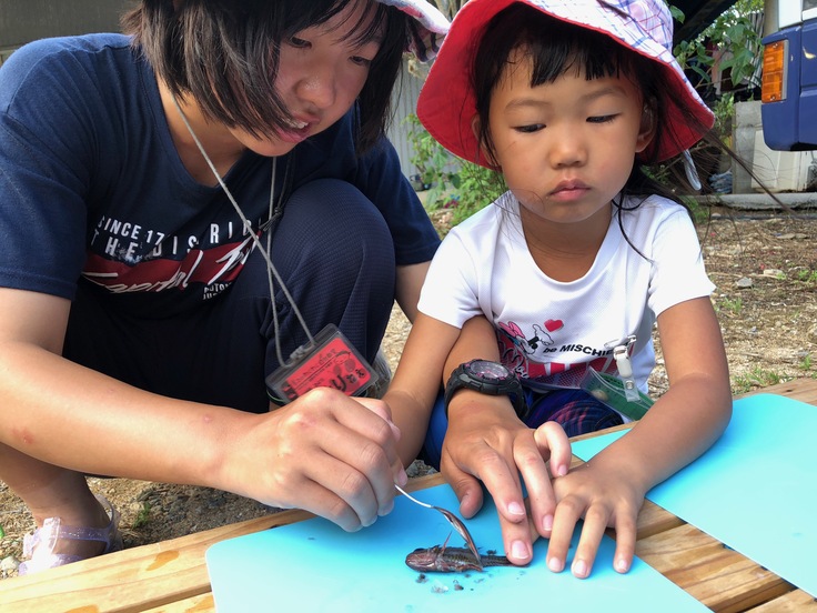 わんぱく冒険学校D〔２日目〕楽しいことも、さみしい思いも一緒に湧き出す冒険学校2日目の夜！_d0363878_213134.jpg