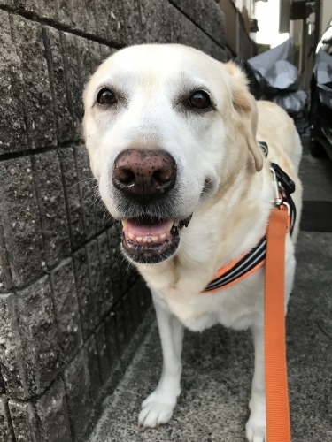 f0315081_22570969.jpeg