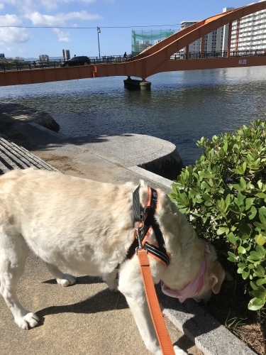f0315081_23002353.jpeg