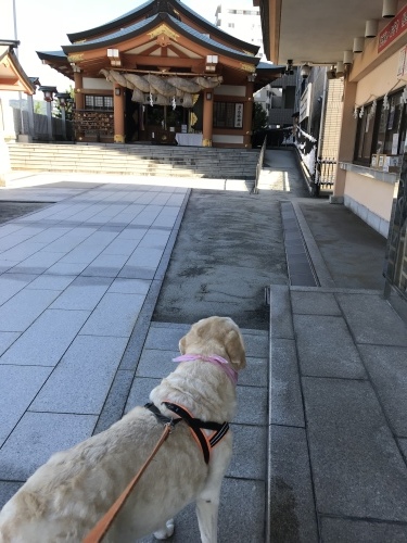 f0315081_23005328.jpeg