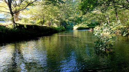 2018夏 忍野_a0090783_832657.jpg