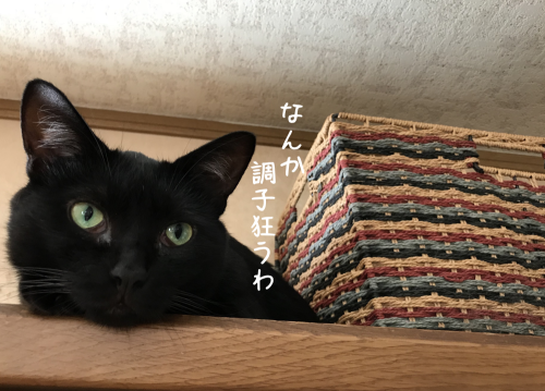 a0216583_21472629.png
