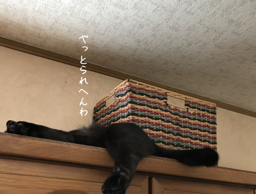 a0216583_21472943.png
