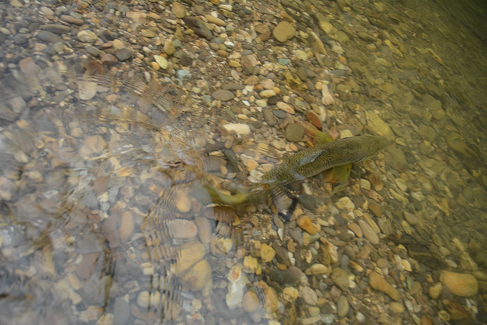 d0164783_00400865.jpg