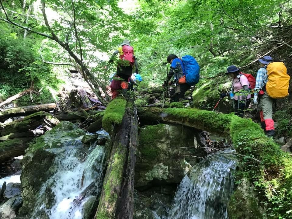 ヒガエリ谷の遡上、後平家、夫婦山周回、25日_f0357487_22293630.jpeg