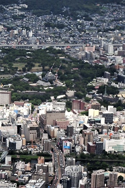 d0181492_23323531.jpg