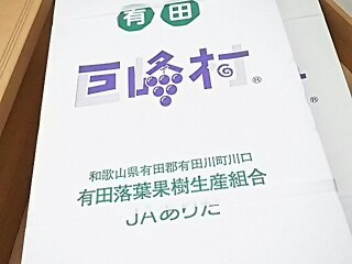 f0303594_21520632.jpg