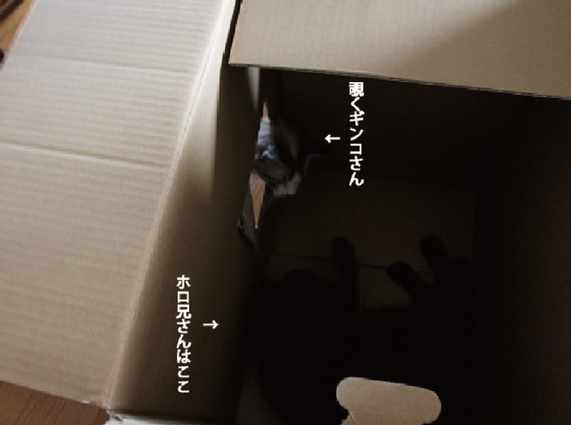 ホロ兄のマイはうす_a0333195_09200726.jpg