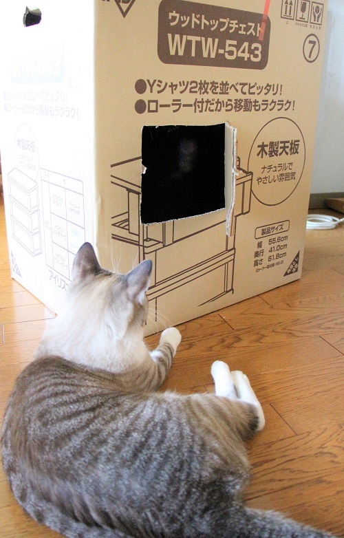 ホロ兄のマイはうす_a0333195_09265257.jpg