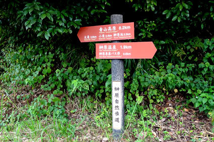 美味しい水で高温対策_b0145296_22315694.jpg