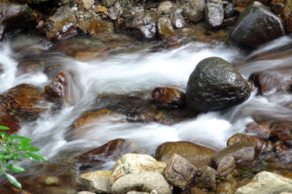 美味しい水で高温対策_b0145296_22321179.jpg