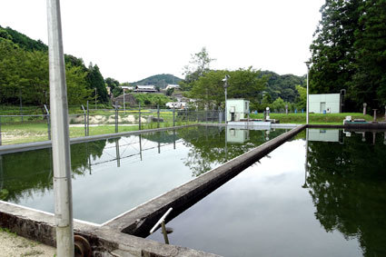 美味しい水で高温対策_b0145296_22321592.jpg