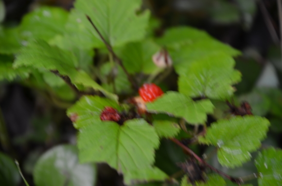 a0288500_08372995.jpg