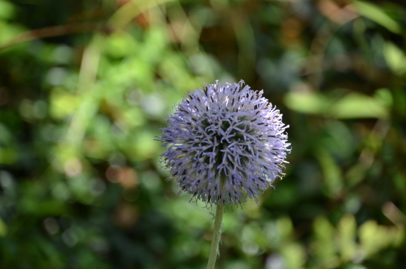 a0288500_08381849.jpg
