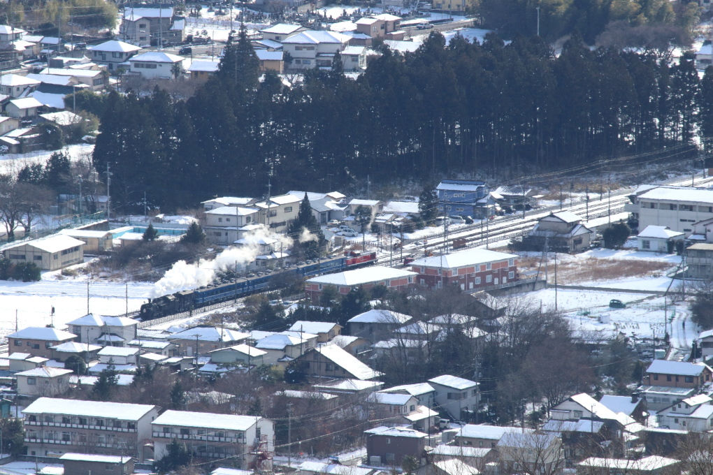白い屋根、黒い森、白い煙 - 東武鬼怒川線・雪 -_b0190710_22085622.jpg