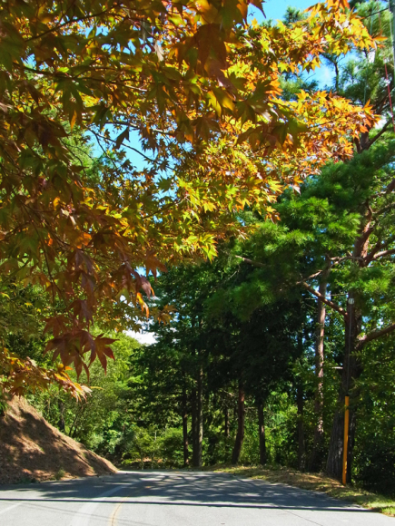 e0083517_01415847.jpg