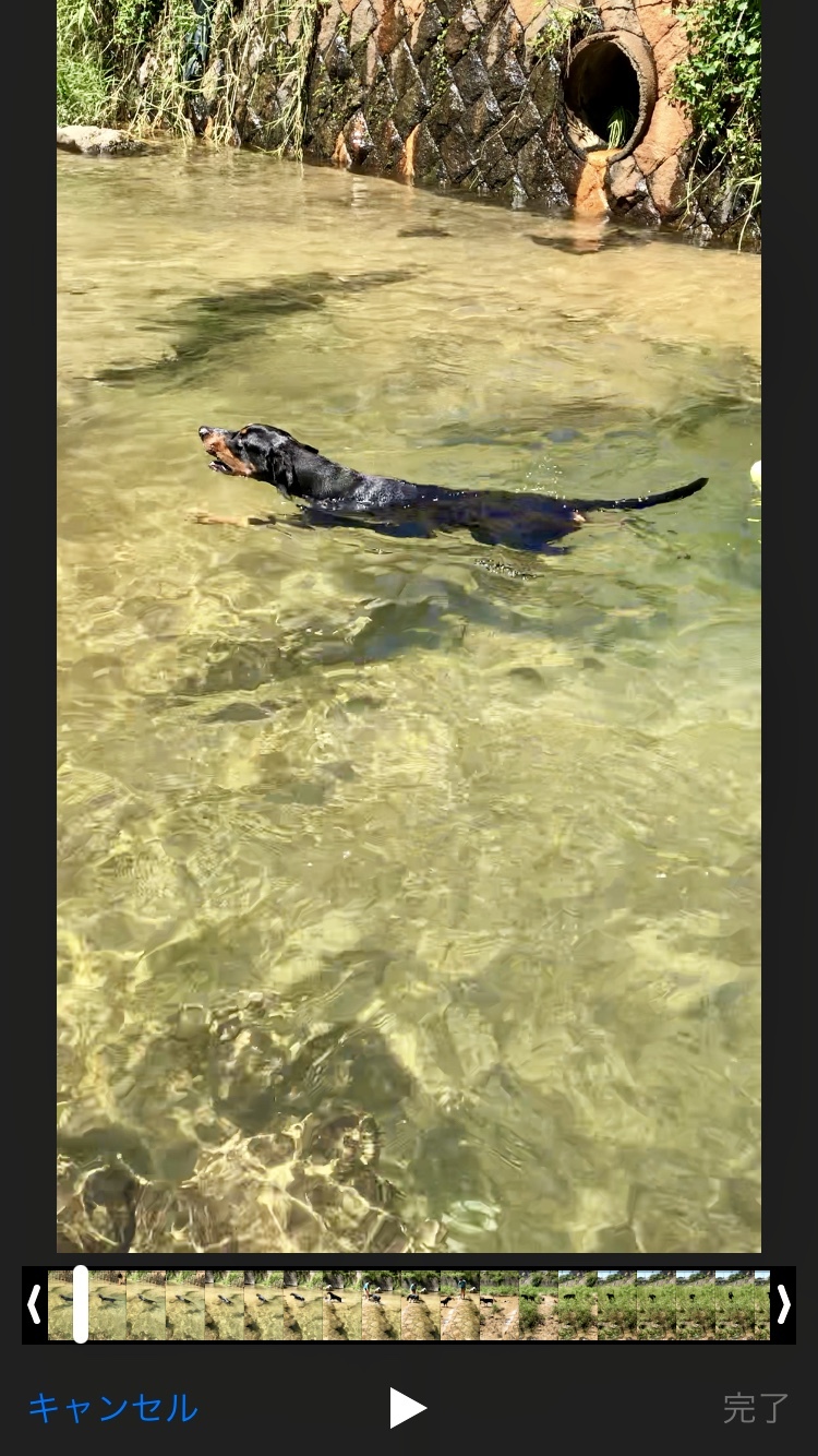 c0324418_12323498.jpeg