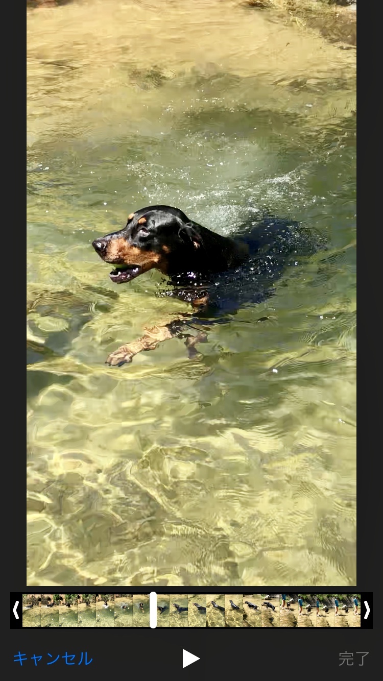 c0324418_12325224.jpeg
