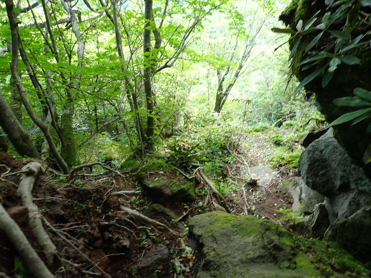 f0193521_11436.jpg
