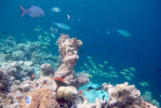 e0387424_17551715.jpg