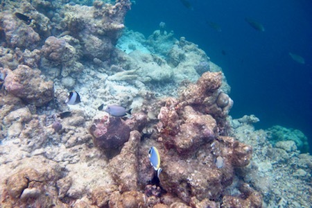 e0387424_17551762.jpg