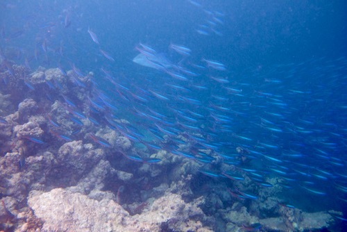 e0387424_17553336.jpg
