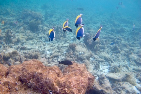 e0387424_17553383.jpg