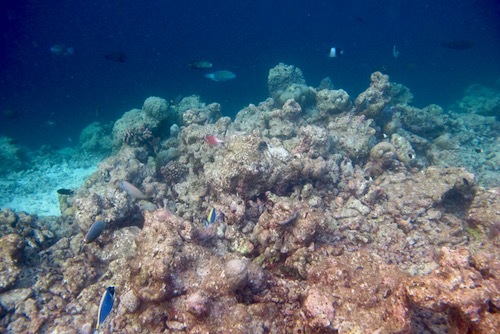 e0387424_17554605.jpg