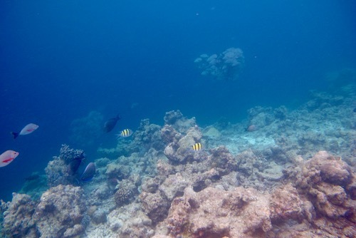 e0387424_17554659.jpg